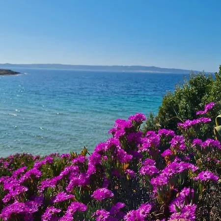 Prázdninový dům Sa Domu Tabarchina *