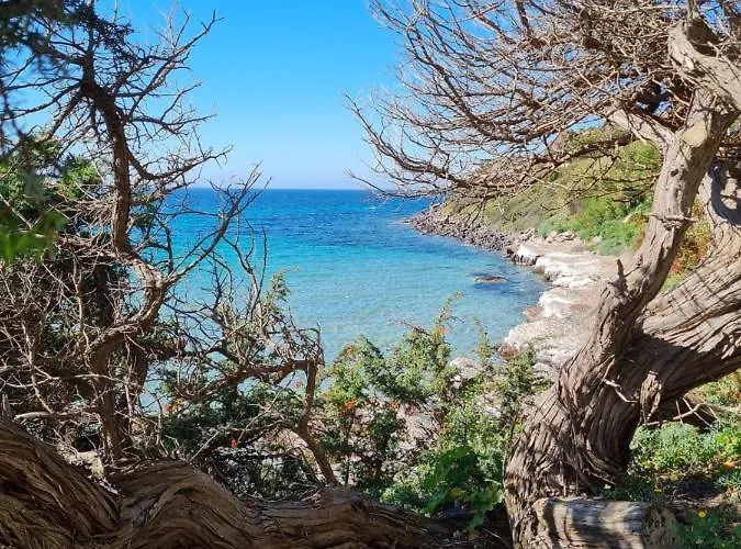 Sa Domu Tabarchina * 卡拉赛达